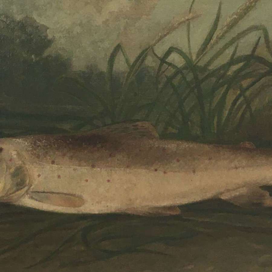 19th century oil on board of a Trout in the manner of Roland Knight